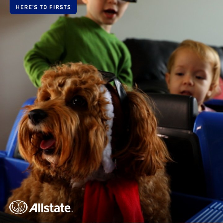 Niyi_Aladetohun's tweet image. Going on your first #RoadTrip? Learn how to help get there safely from these little ones. #HeresToFirsts youtu.be/Mmo54KYU5JE