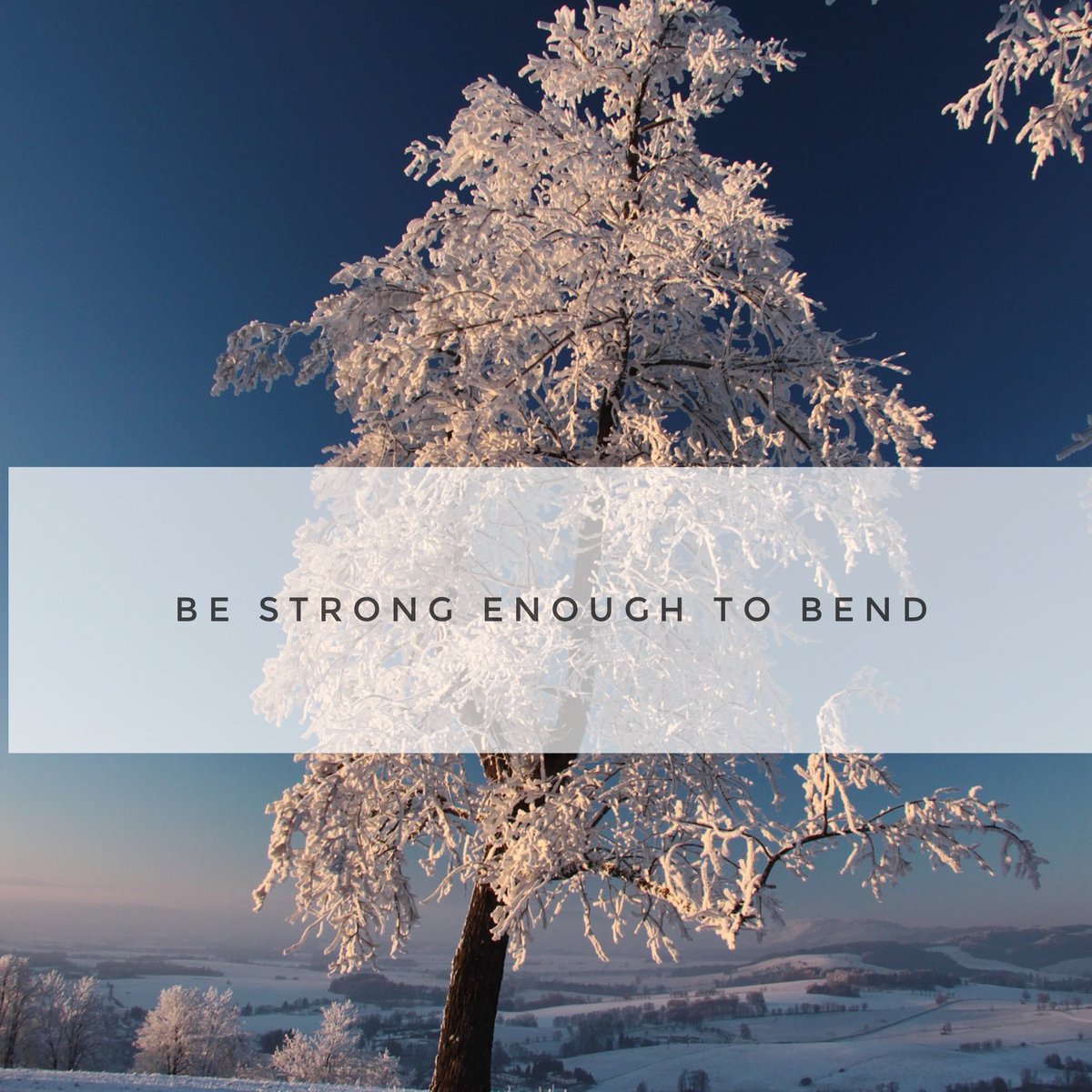 lstumpenhorst's tweet photo. Don't let hard days make you harder, be strong enough to bend. #principalsinaction #momsasprincipals #leadwithjoy https://t.co/7SFsuT9uke
