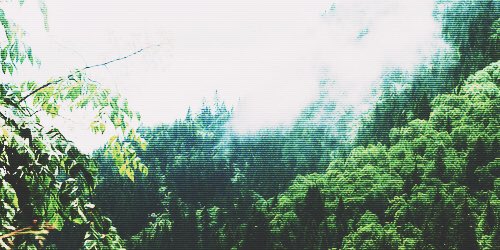 MuteHiten's tweet image. ❝ᴛʜᴇ ᴍᴏᴜɴᴛᴀɪɴs ɪs ᴡʜᴇʀᴇ ʏᴏᴜ ғɪɴᴅ ʜᴇʀ.❞
・ﾟ✧*ﾟ✧:・ﾟ・ﾟ✧*ﾟ✧:・ﾟ・ﾟ✧*ﾟ✧・ﾟ✧*ﾟ
⠀   ⠀   ⠀ ⠀   ❥ Jᴀᴘᴀɴᴇsᴇ ᴍᴏᴜɴᴛᴀɪɴ sᴘɪʀɪᴛ
⠀   ⠀   ⠀ ⠀❥ ᴍᴠ 〡 ᴏᴘᴇɴ ♡ ᴅᴍ