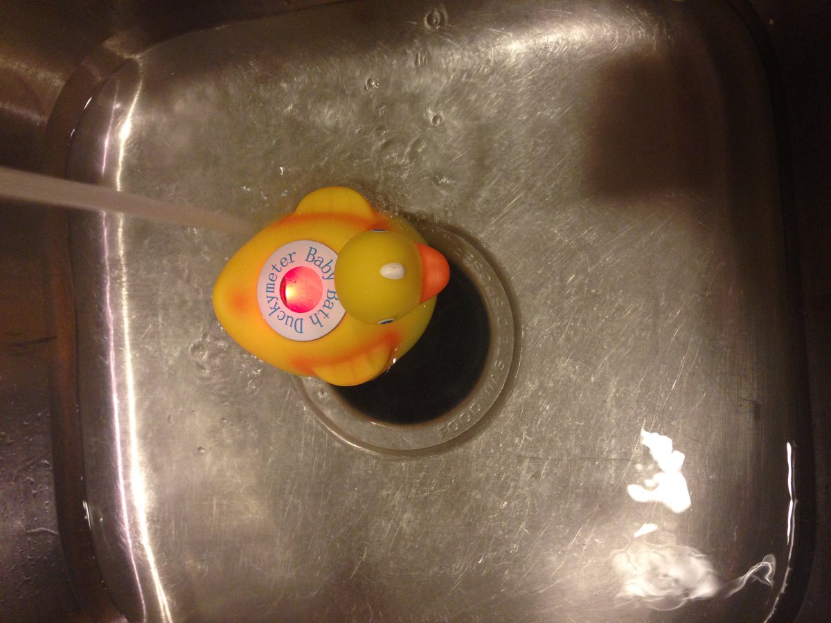 Reviewingallday's tweet photo. Loving the #Ozeri bath duck! It keeps the baby safe by telling the temp! #ad #sp #elite1sreviews https://t.co/KkxsaEApN4