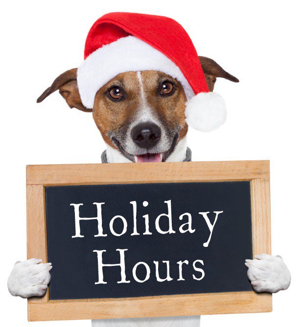 Valor_SF's tweet photo. Holiday Hours  https://t.co/JM8HaWSNS4 https://t.co/gk2ZXQAMtb