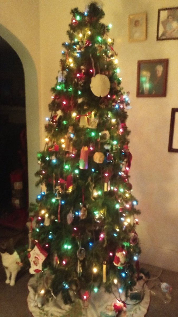 Happy holidays to you all #ChristmasTree