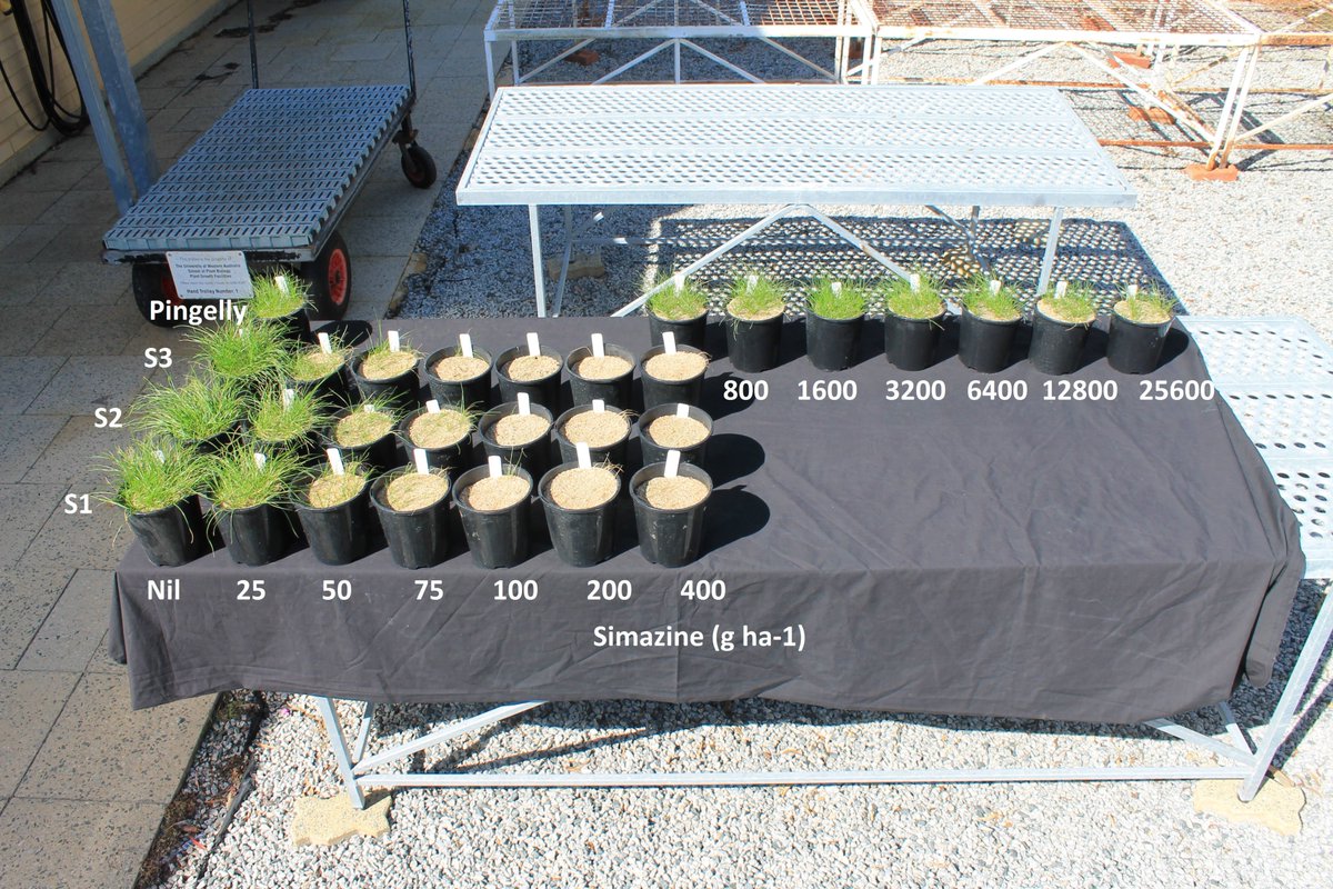 Mike Ashworth tweet media