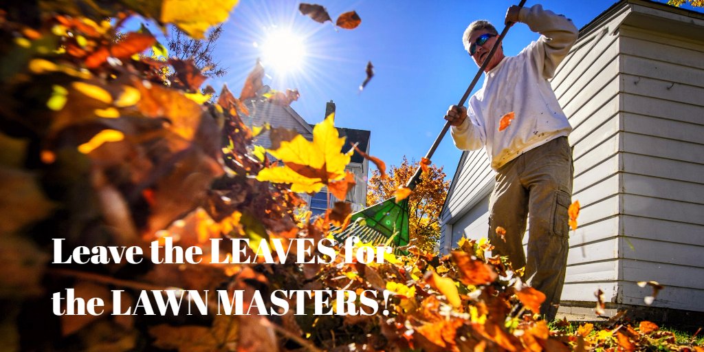JupiterLandsc's tweet photo. No time removing leaves in your yard? Let us handle it for you. Jupiter Landscaping offers you their Leaf Removal Service. Call us now! https://t.co/uZJDzVRFzD