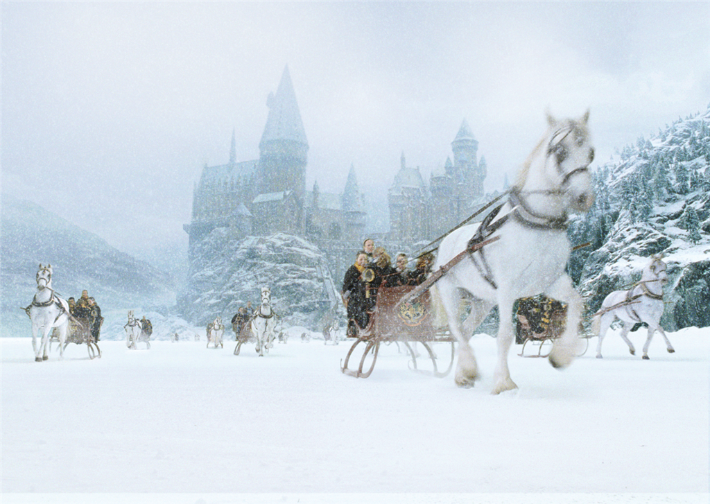 Hogwartssite tweet picture
