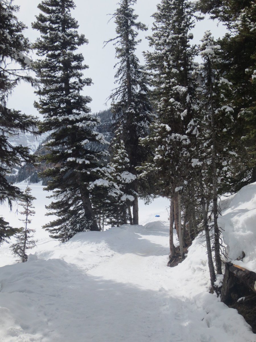 writeintent's tweet image. Brain Freeze thewriteintentions.com/2016/12/20/bra…