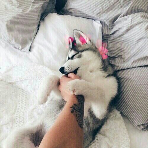 happybeanss's tweet photo. @duhtybzitong 💞 https://t.co/3VuvHG3o73