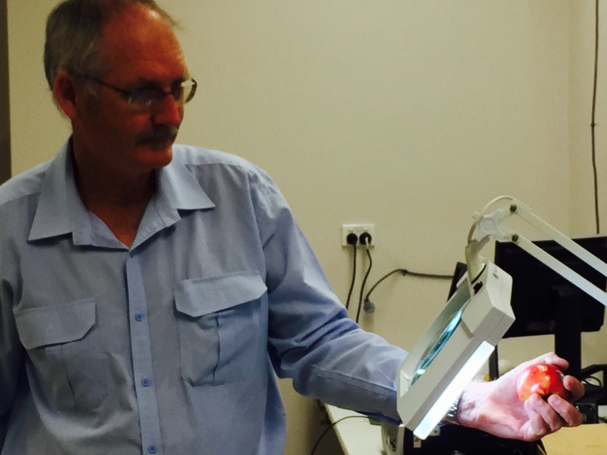 CQU's tweet photo. Impact! #Mango research by Kerry Walsh among most cited journal articles in ag electronics https://t.co/MY84a21aMd #agchatoz #CQUniAg https://t.co/jAS0aa5KJn