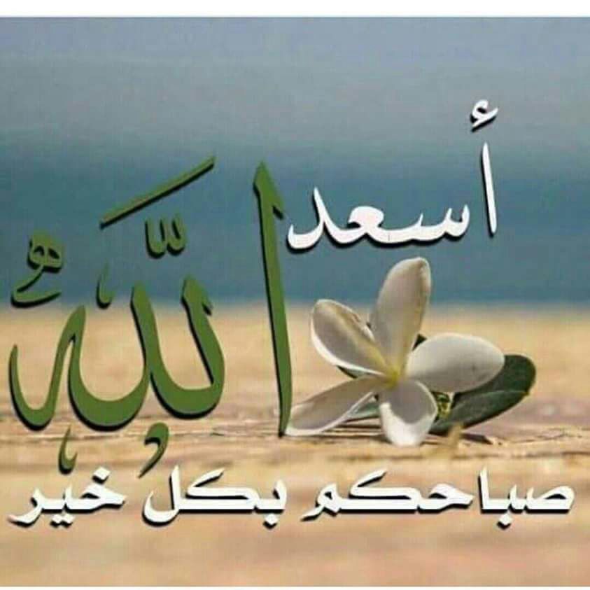 althimar's tweet image. 