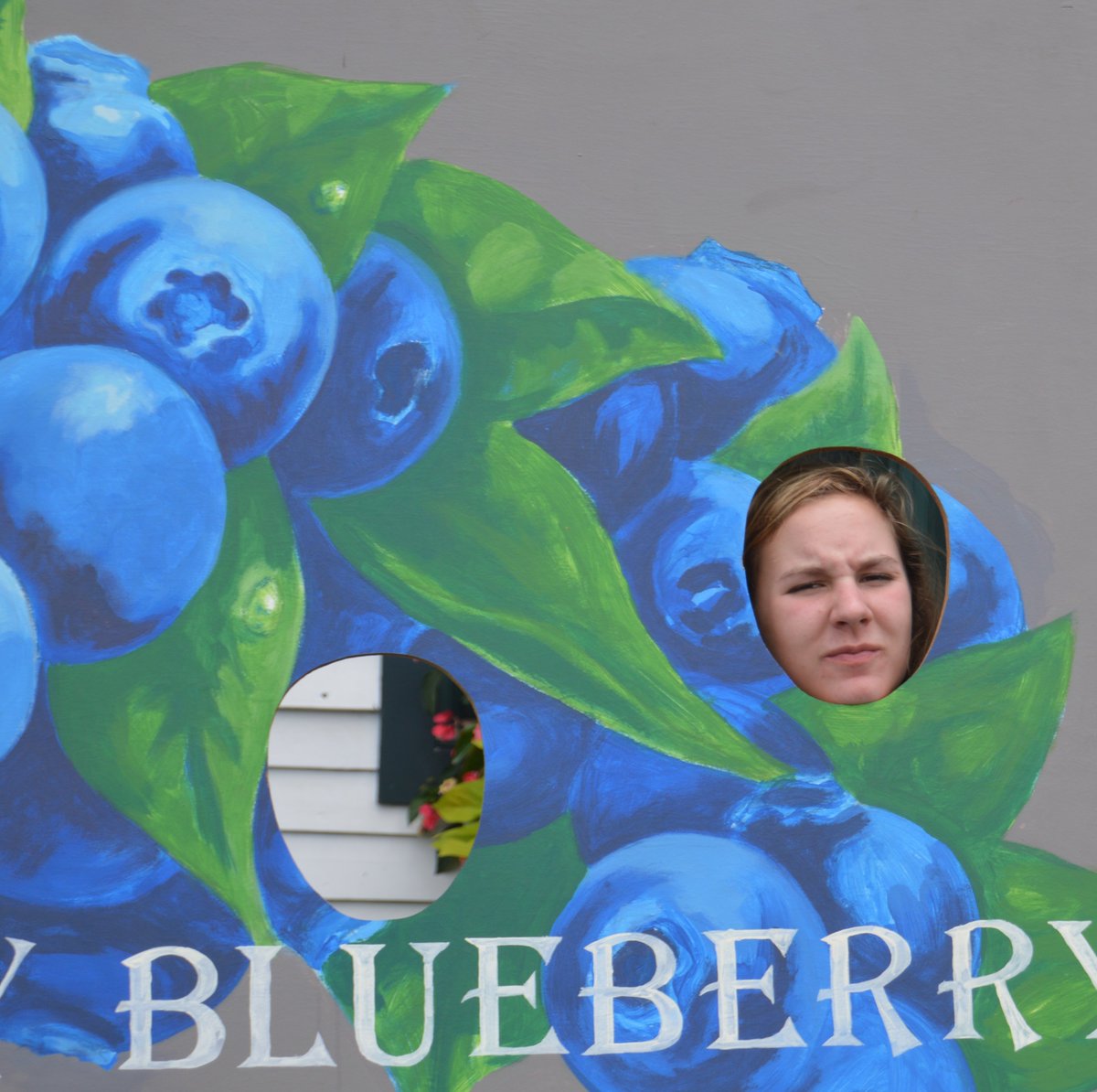 alysstenup's tweet photo. just waitin for my blueberry to come home https://t.co/Iq4kFC7E8S
