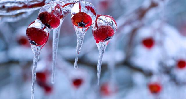 #benvenutoinverno  
#wintersolstice #winter #21dicembre