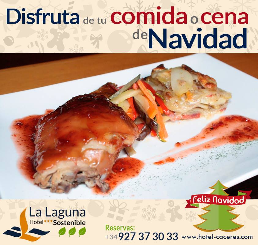 Ven a Hotel La Laguna y disfruta de nuestros espectaculares MENÚS Especial Navidad. Te esperamos !!!