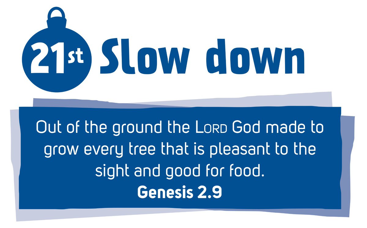 LiveAdvent's tweet image. Slow down with #LiveAdvent 
Go for a walk. See what you notice – what colours can you see, what sounds can you hear?