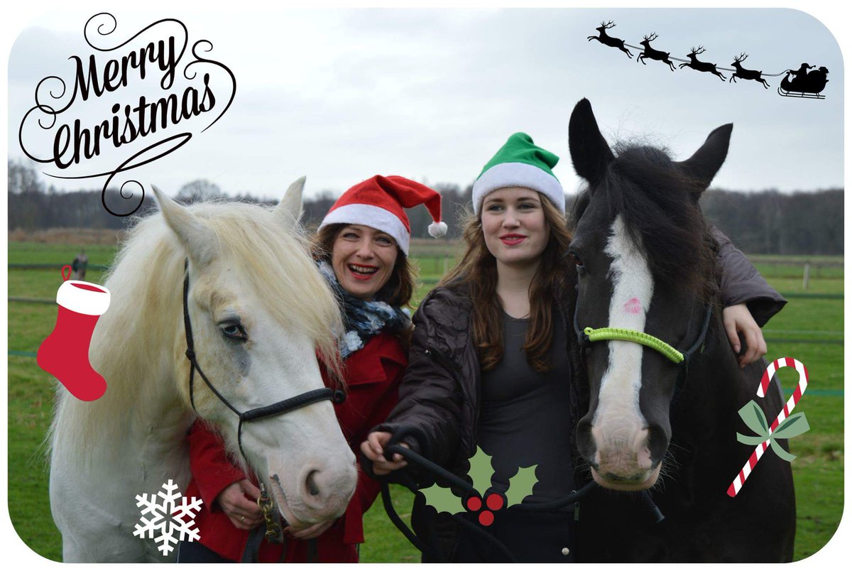 DannyNehm's tweet image. 