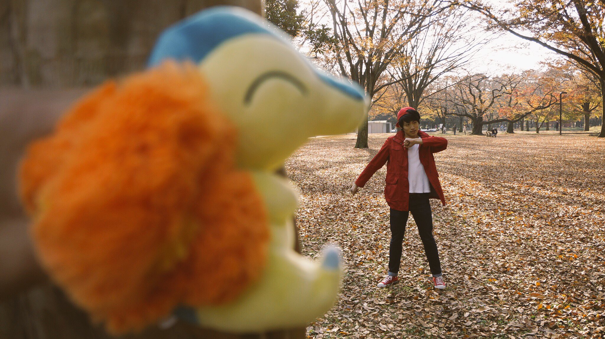 立花ファイヤ 二ヒヒヒヒィ 明日は朝からおはスタのスタジオ突撃しちまうぜぇ テレビ東京系列 07 05 だってさ 絶対みてくれよなぁ ヒノアラシはみててくれるよなぁ ポケモン サンムーン 立花ファイヤ アドバンスファイヤ おは