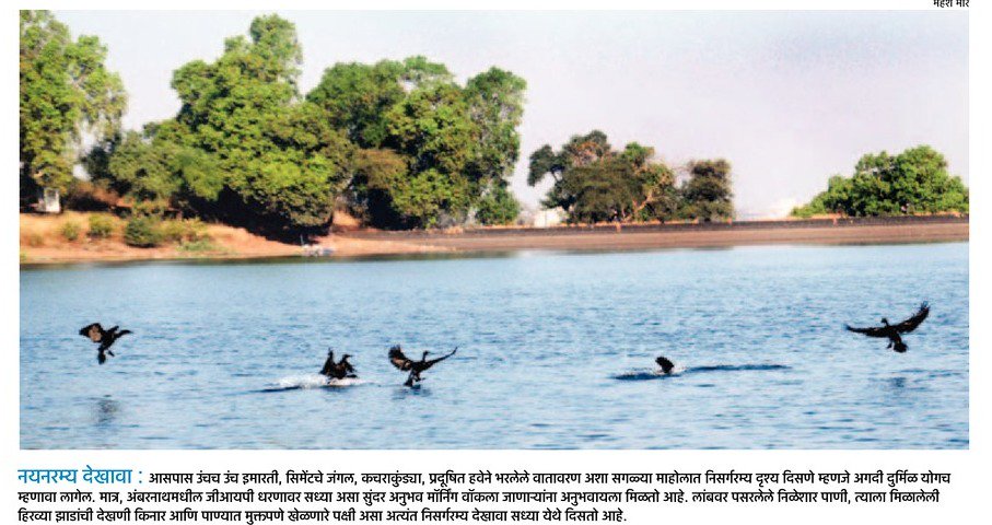 Save "Thane Creek" <a href="/thanecityonline/">A</a> <a href="/SJaiswal_IAS/">Sanjeev Jaiswal (I.A.S.)</a> sir All Kalwa , Mumbra &amp; Thanekars  are with you .