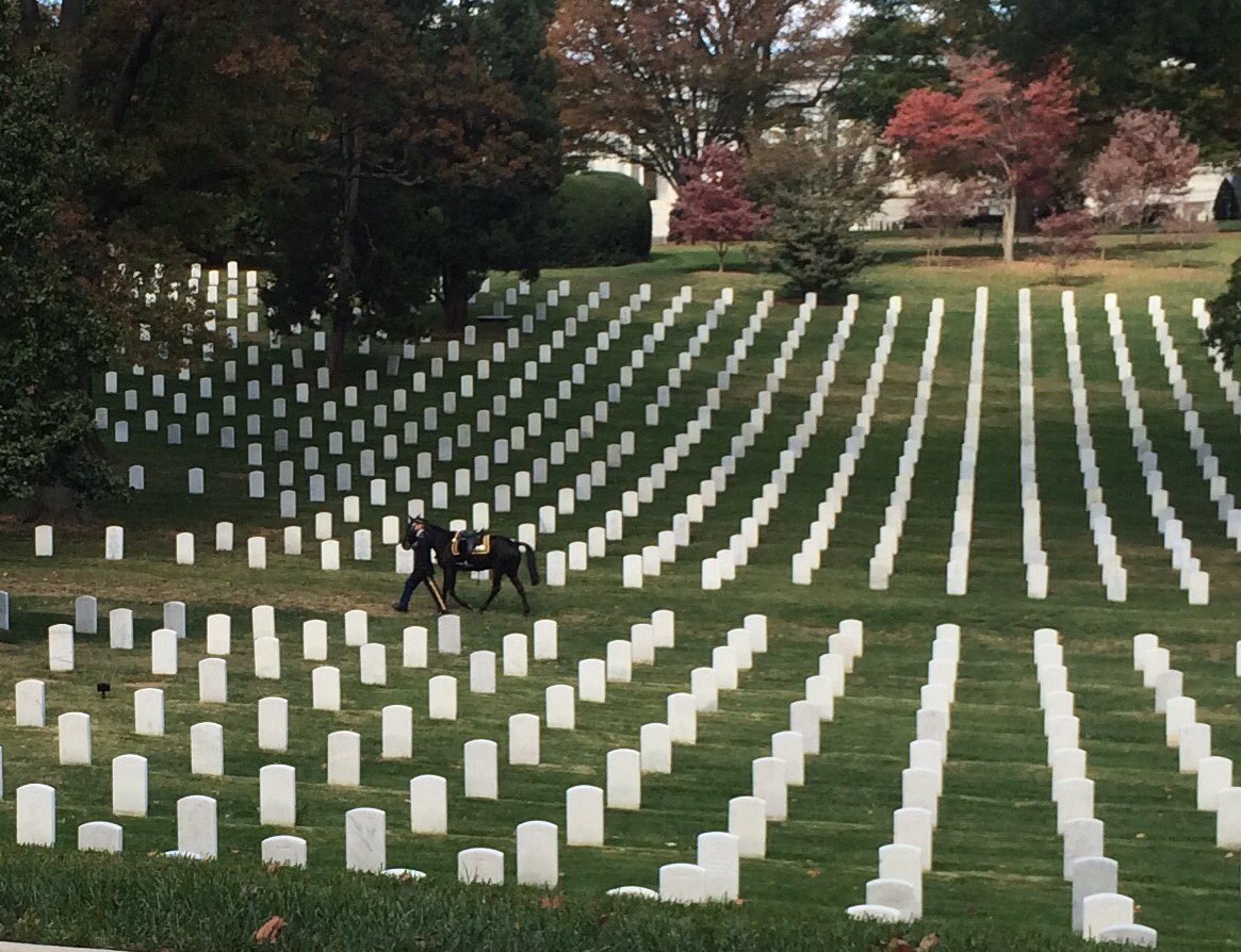waystation7576's tweet photo. Riderless horseman @ArlingtonNatl for Colonel John H. "Jake" Tweedy @usairforce so honoring https://t.co/yKEpRdhJUe