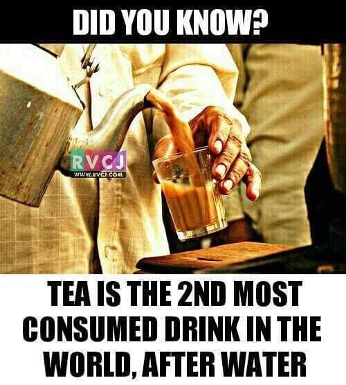 RVCJ_FB's tweet photo. Did you know? https://t.co/wNzvFtH0ms