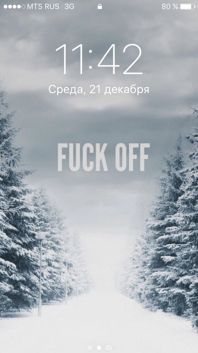 Sasha_Kotofey tweet picture