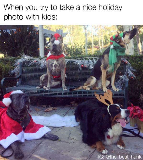 melvinssyn's tweet photo. @davidlabrava not mine but funny. https://t.co/rP5OrszG7o