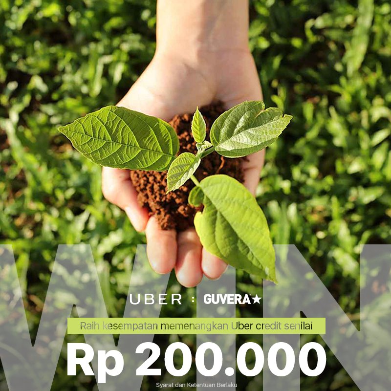 Telolet! 🔊🔊🔊 2 hari lagi buat kesempatan menang Uber Credit Rp 200.000! Yuk, ikuti channel @Uber_IDN di Guvera! bit.ly/2hcwpBO
