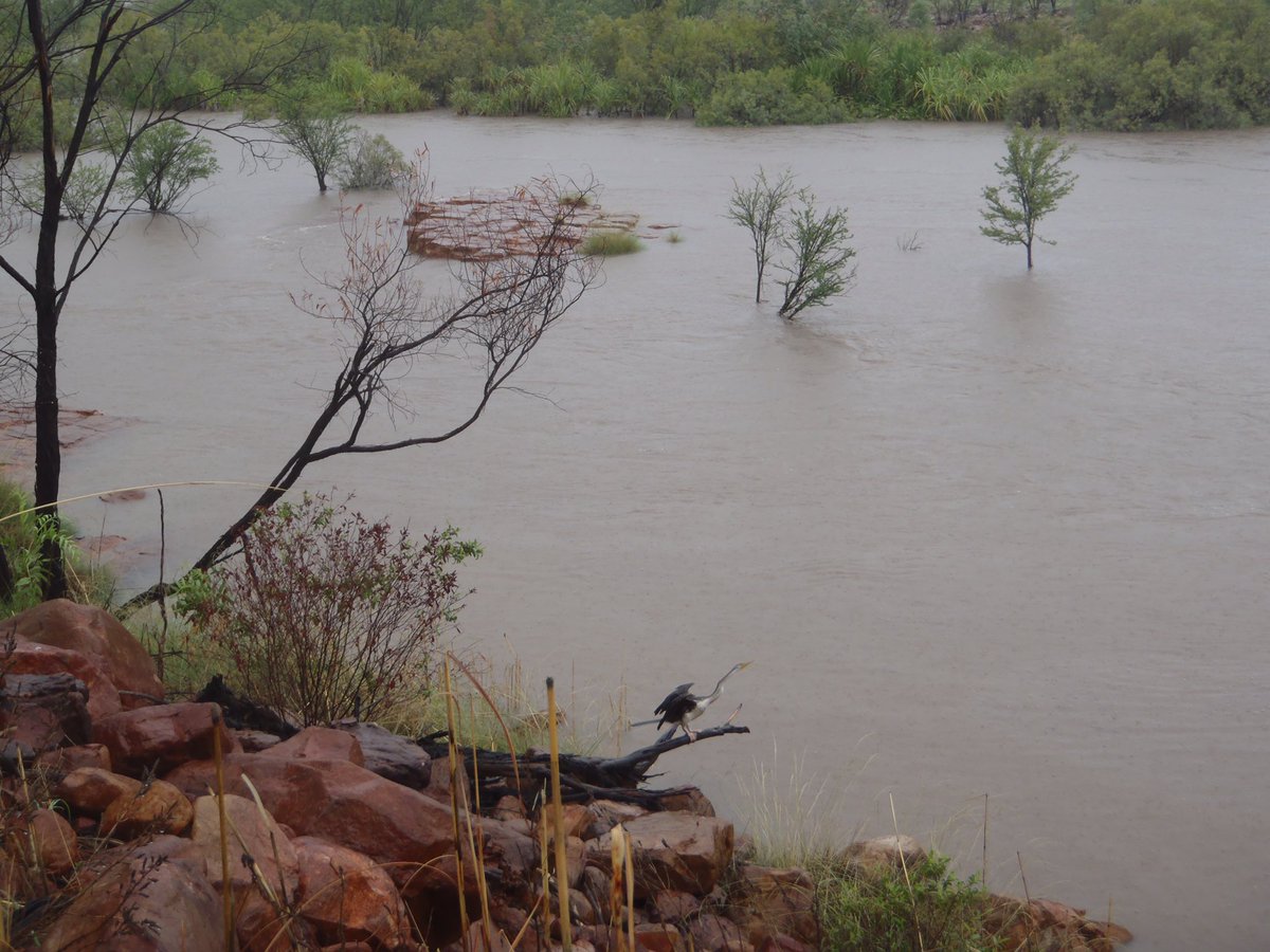 TaraColum's tweet photo. Wet season is here #homevalleystation #kimberley https://t.co/NlhPoaVS4x