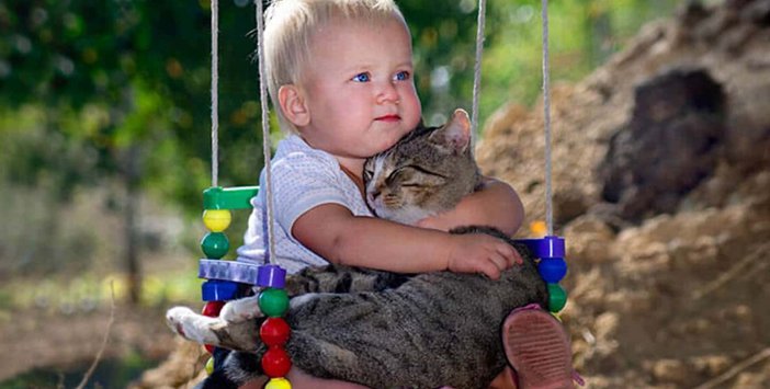 gezegenveinsan's tweet image. &apos;&apos;Bir semtin sokak hayvanları sizden kaçmıyorsa orada yaşayın; çünkü komşularınız güzel insanlardır.&apos;&apos; 

Goethe