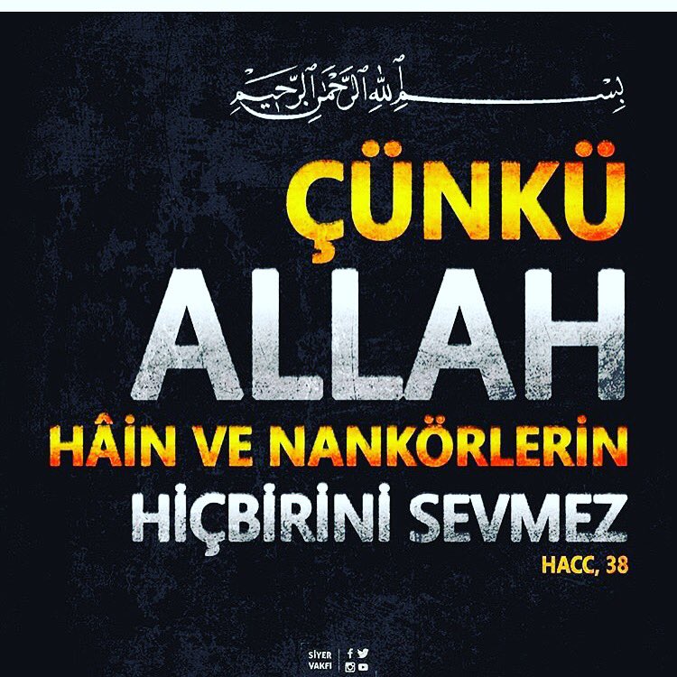 zeynep özmek (@zeynepozmek) on Twitter photo 