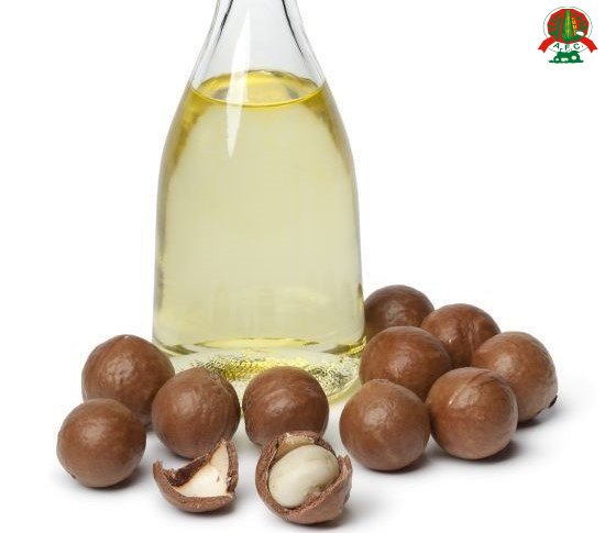 Agri_FinanceKe's tweet image. Supporting #ValueAdditionKE
#MacadamiaOilProductionKE
#AgribusinessTalk254