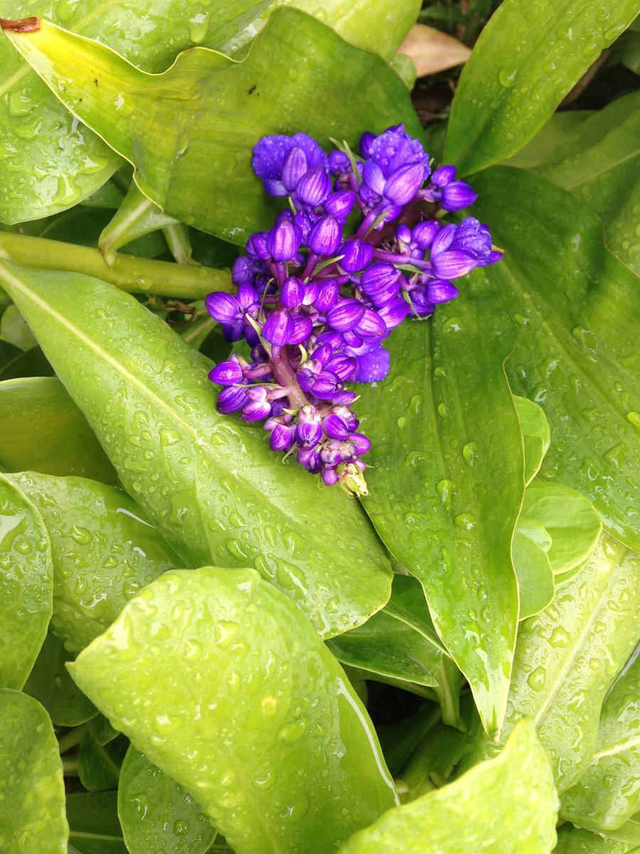 The small things I love about traveling #natureisawesome #travelbloggers--> buff.ly/2fGkQEN <-- stable money traveling w/ #plango