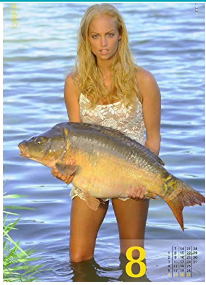 hell_doe's tweet image. for christmas i'm surprising my dad with a calendar full of swimsuit babes unhappily posing with carps