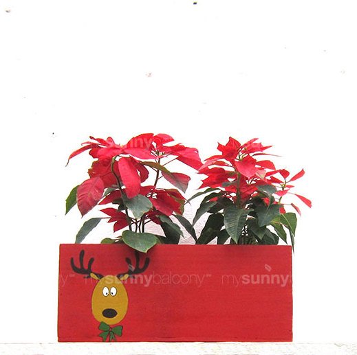 MySunnyBalcony's tweet photo. Looking for a quirky gift for your loved one? Gift them a mad moose planter from MSB's Xmas collection!
https://t.co/6N7JBzhjMo
Code:MSBXMAS https://t.co/VlcdXmlvSn