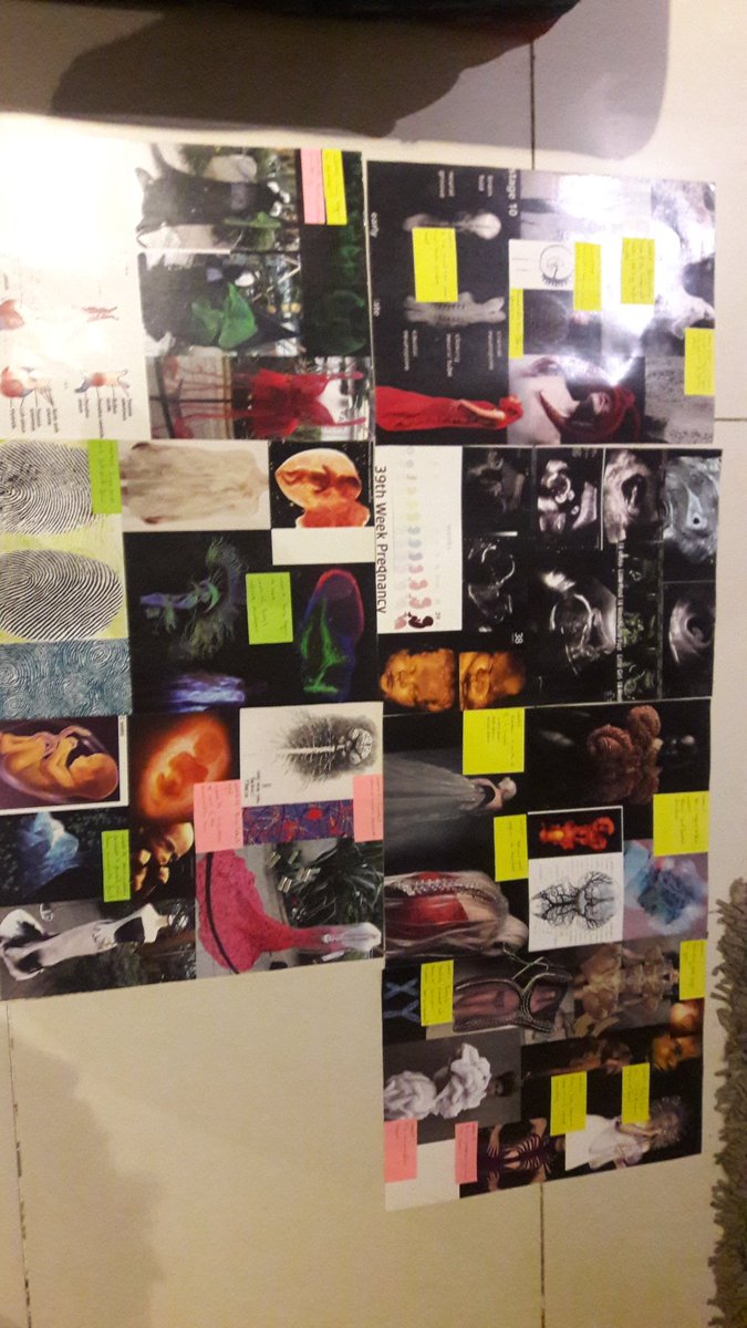 TheaqsaZ's tweet photo. #Research #boards #pregnancy #fetus #development during every week https://t.co/SR7B5TzU4S
