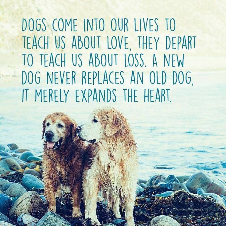 douglashallken's tweet photo. Wednesday wisdom! https://t.co/FPb1pWFICn