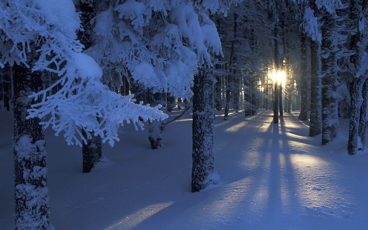 Siriostar69's tweet photo. Buongiorno..buon Mercoledรฌ, e buon inizio #Invernoa tutti voi amici..๐โโ๐ #21Dicembre #Solstiziod'Inverno https://t.co/IuJeFmWkbh