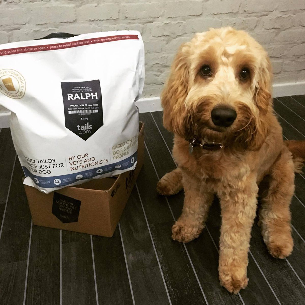 on Twitter "Tailormade dog food 🐶 Try 2 weeks