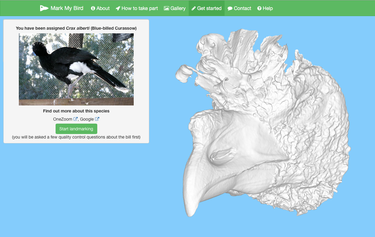 MacrobirdEvol's tweet photo. Enjoy our #BeakoftheWeek scans? Try landmarking, winning badges & climbing your way up the leaderboard! #MarkMyBird
https://t.co/QRIdRyc9bD https://t.co/hAk6VLLp7v