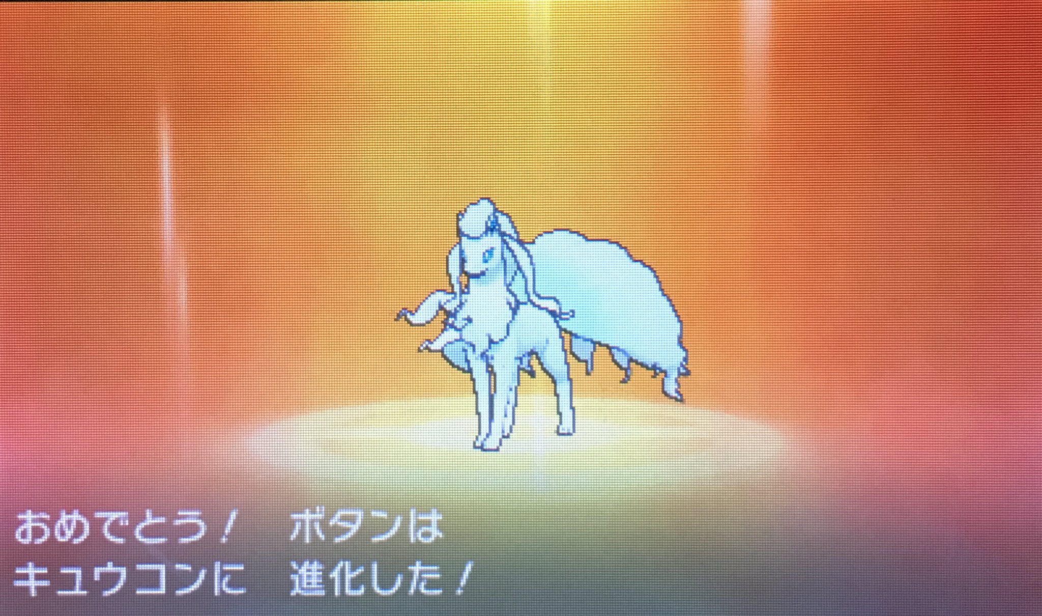 טוויטר Y タンタル בטוויטר ロコンをキュウコンに 美しい ポケモン ポケモン サン ムーン ポケモンサンムーン ポケサンやったる T Co Krxwsio9yj
