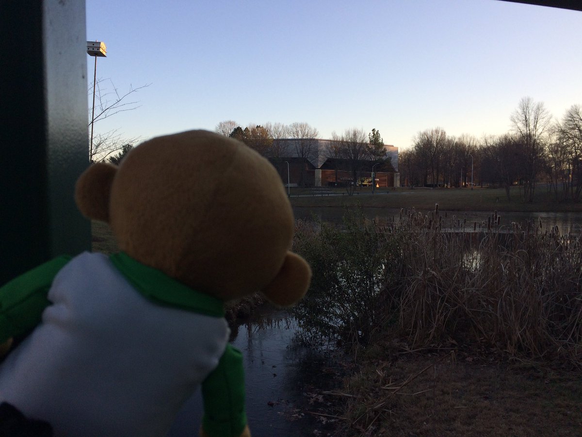 GeorgeMasonU's tweet photo. #MasonGrad2016 @eaglebankarena is waiting for all the new @MasonAlumni. I can't wait to see everyone inside. #WhereisDoc #WeAreMason https://t.co/q89B9jMApz