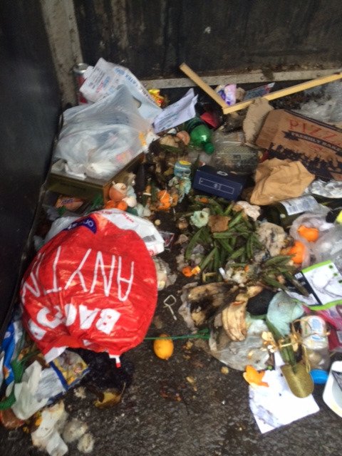 st_clean's tweet image. Just leave it to decompose @hastingsbc @kiergroup #kiergroup #ignoreitanditwillgoaway #omgitstinks