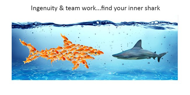 birnetwork's tweet photo. Discover your inner shark
https://t.co/2Grz1BNCMU https://t.co/sbECMP2Hpz