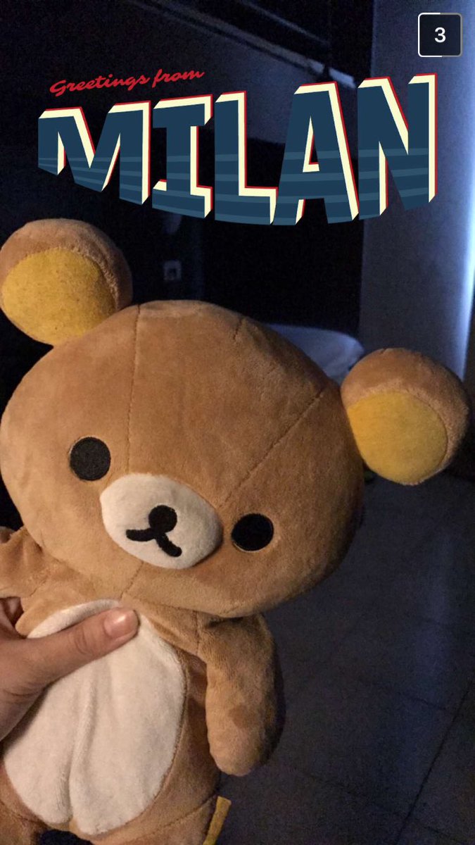 OfficerJennny's tweet photo. My roommate is taking Kuma around the world on an adventure 🐻✖️🌍 https://t.co/tSrN0qbOPU