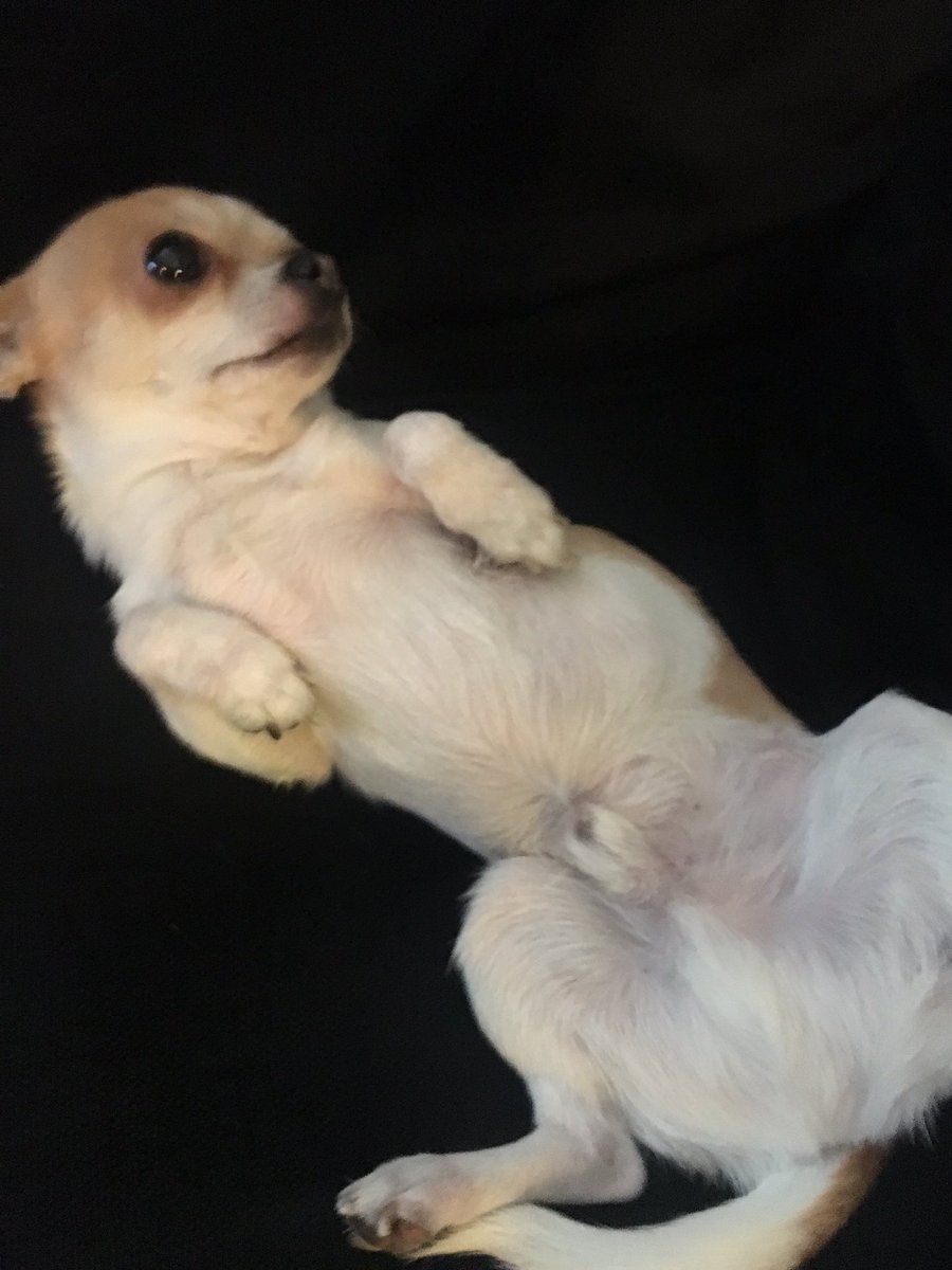 EastEndMorris's tweet photo. Draw me like one of your French girls https://t.co/1e0AzLHAfN