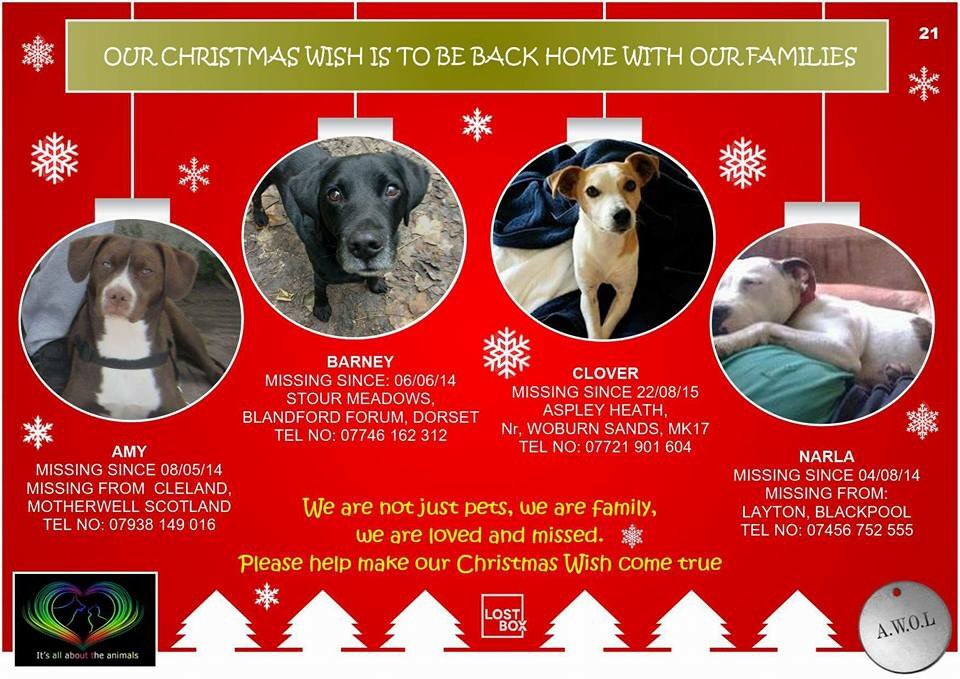 LisaLisaw1's tweet photo. 🎄⛄️🎄 #FindAmy #HelpFindBarney #HelpFindClover #HelpFindNarla #GetMeHomeForChristmas #AChristmasWish ⛄️🎄⛄️ https://t.co/EGB8KiNowk