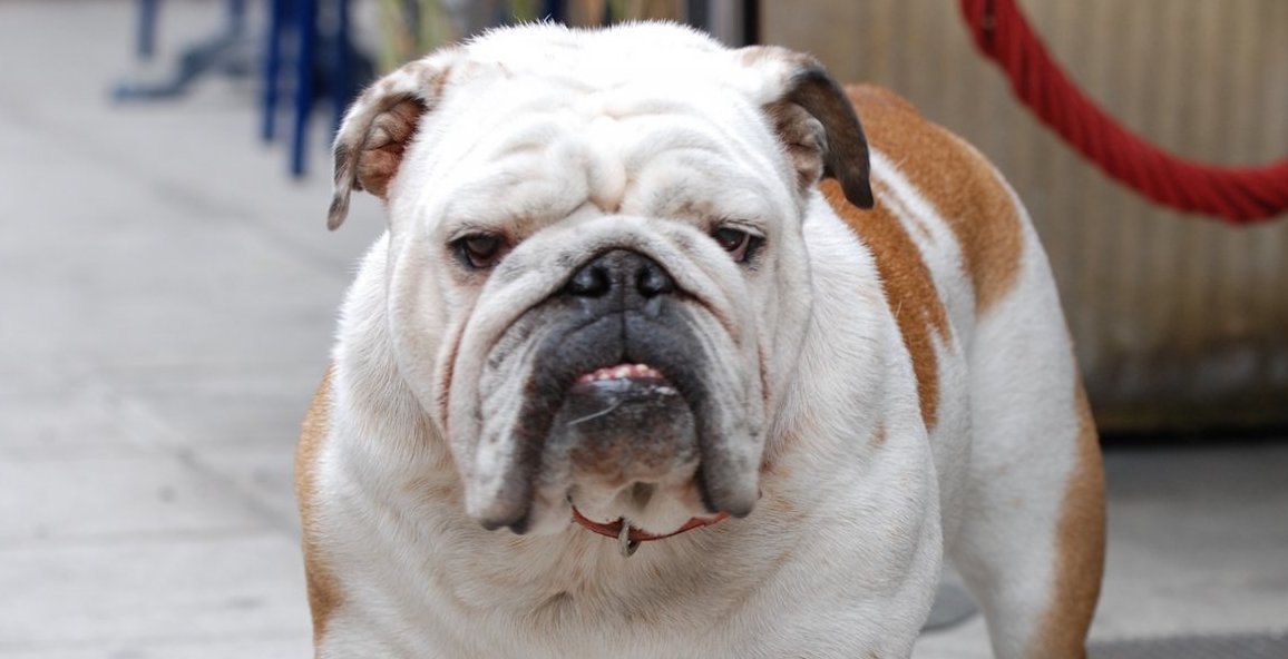 ET TechnologyCo.,Ltd (@etdoor) on Twitter photo 