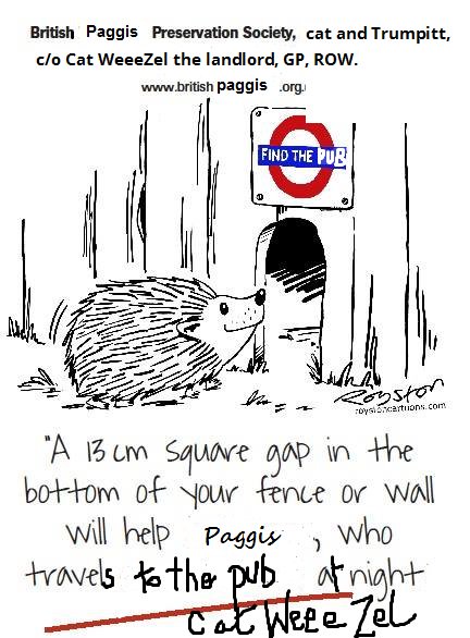 The Cat & Trumpet (@catandtrumpet) on Twitter photo 
