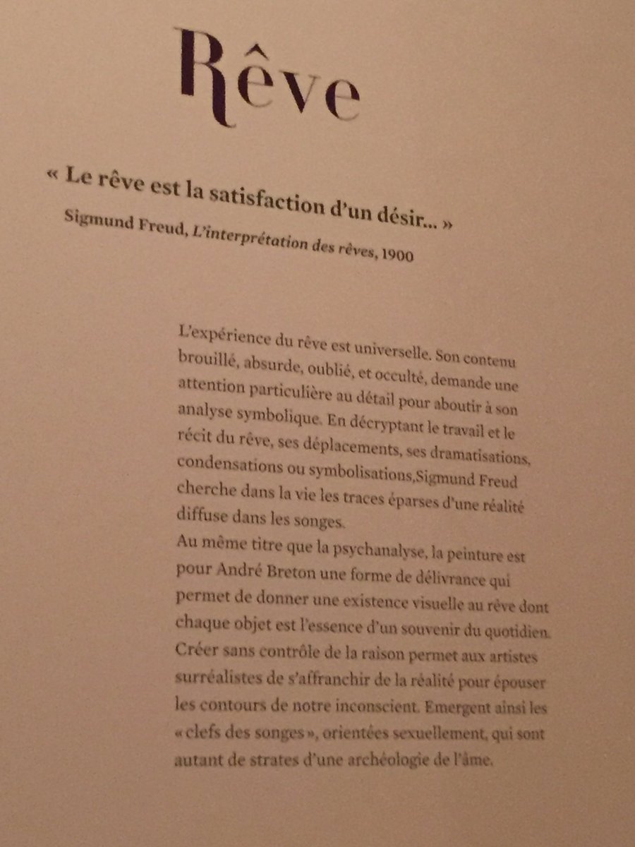 JulieFul13's tweet photo. Essayons de rêver ... expo #lereve #museecantini #marseille #art #voyage #culture https://t.co/5PrhXRW4Wa