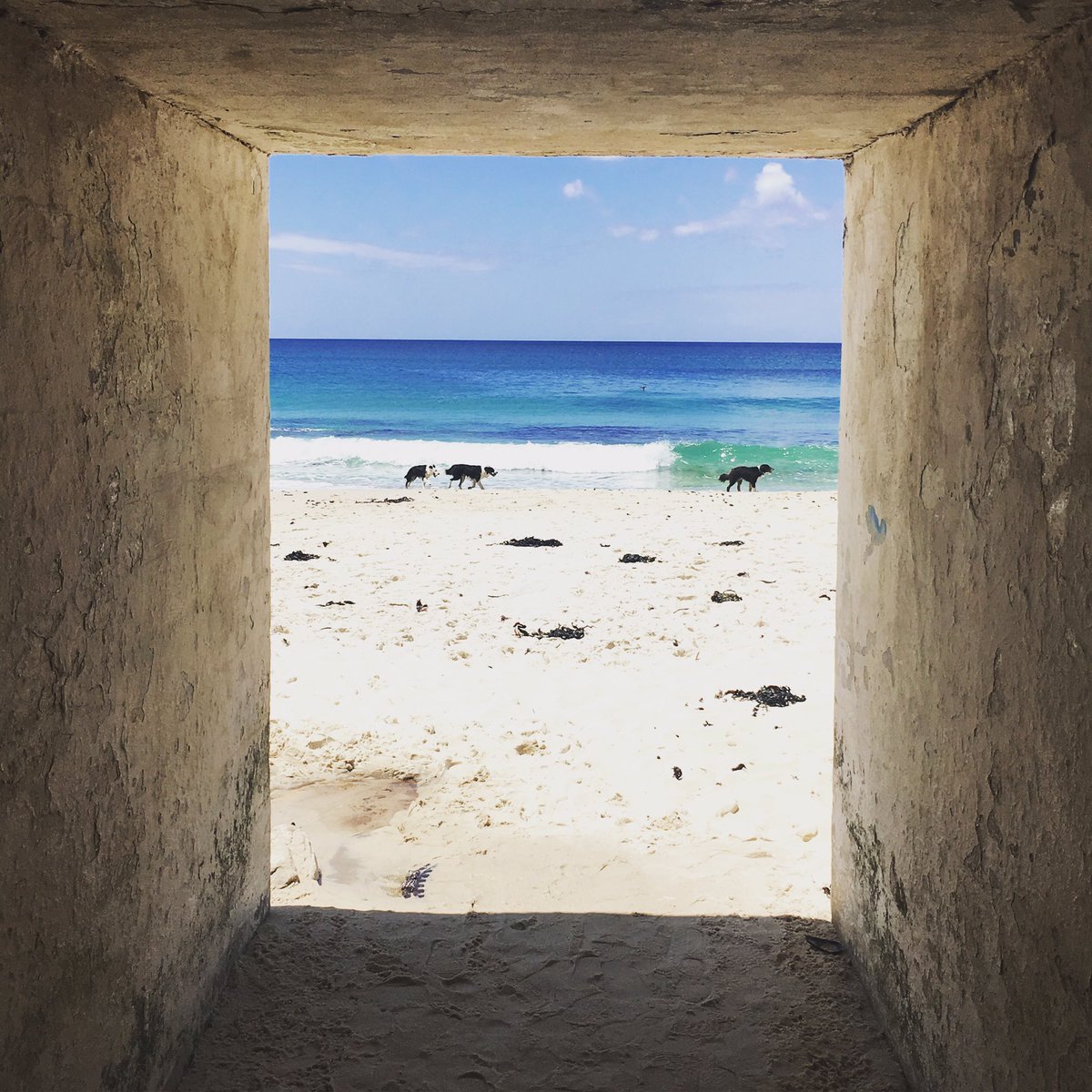 What are you up to on this beautiful day, Cape Town? Danger beach and a bicycle ride for us! #rideonct #capetown <a href="/ilovecptonline/">ilovecapetownonline</a>