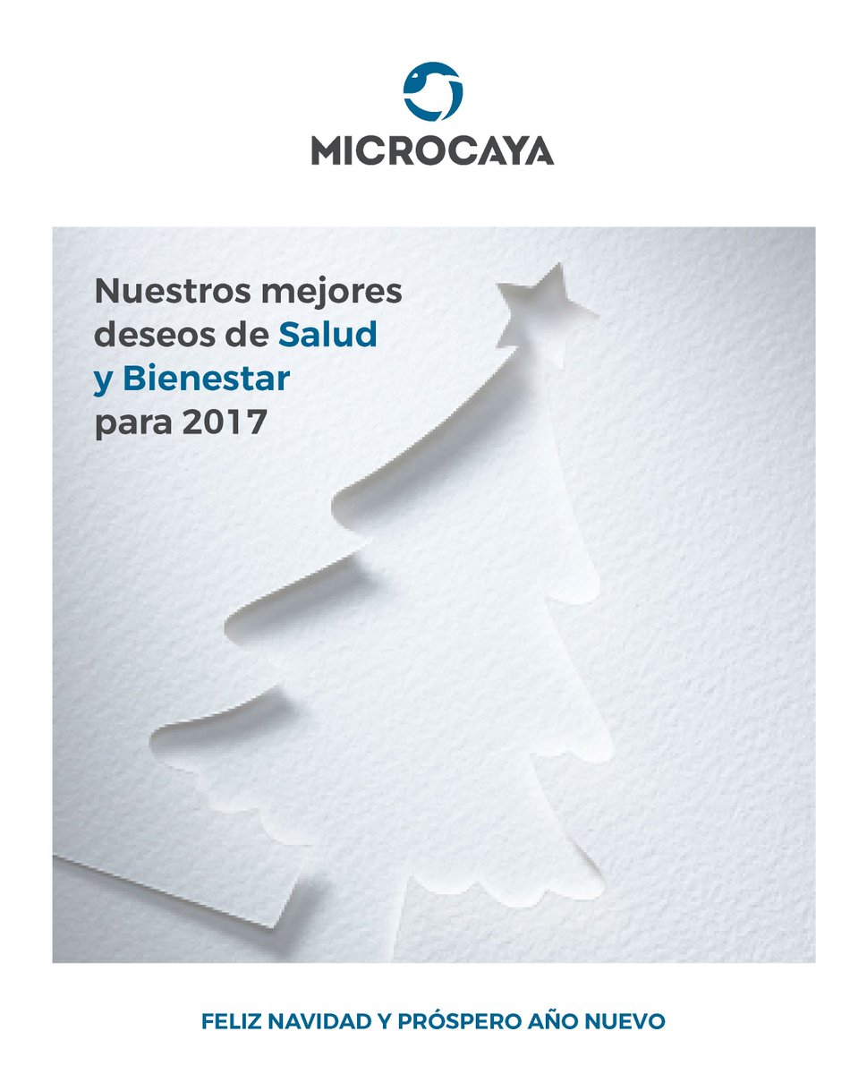 microcaya tweet media