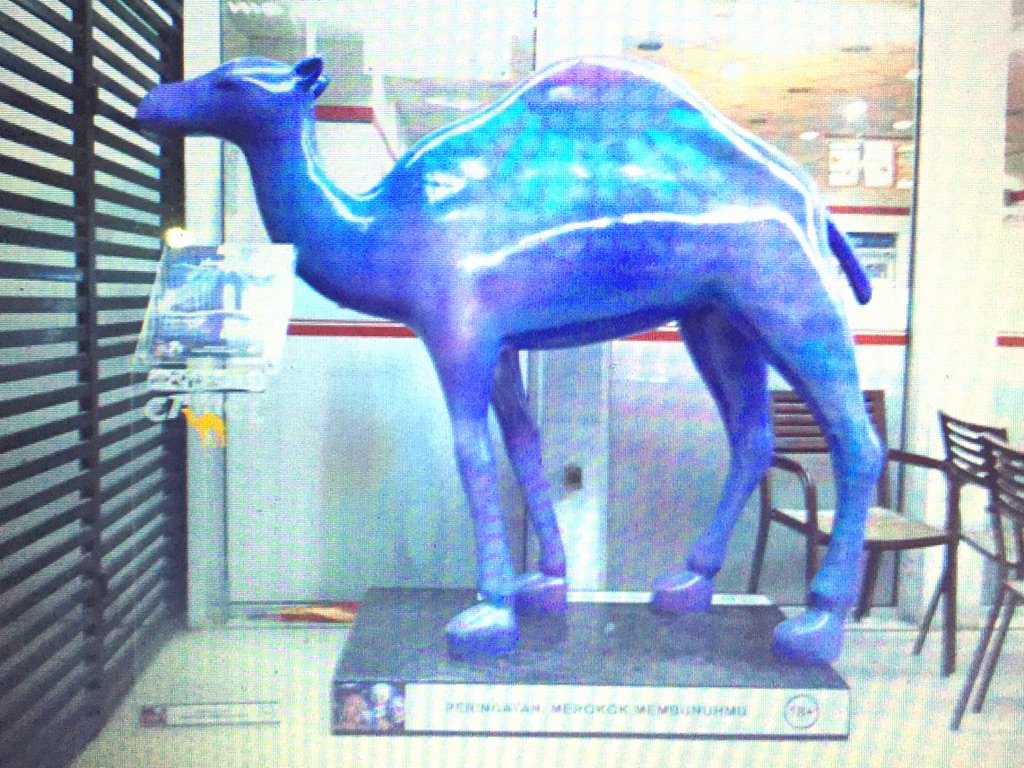 Grab #IdeaActive grand prize! Visit Camel Icon #originals di CK Kebalen, temukan kodenya &amp; jgn lupa ke originals.id <a href="/originals_id/">Originals Indonesia</a>